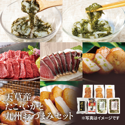 【ご自宅用】天草産たこ・いかと九州おつまみセット