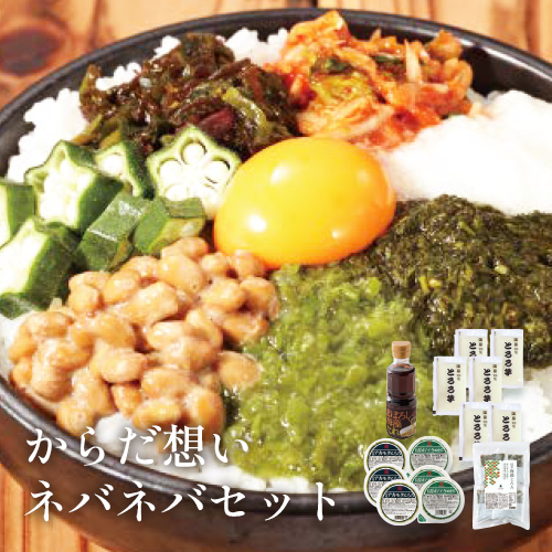 からだ想いネバネバセット